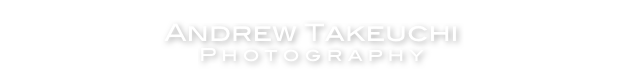 Andrew Takeuchi
Photography